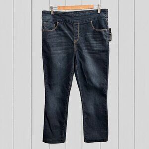 REITMANS R Stretch Pull On Blue Jeans (Size 32)(NWT)